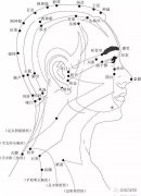 经常按摩这七个穴位，补气血养生保健好方法